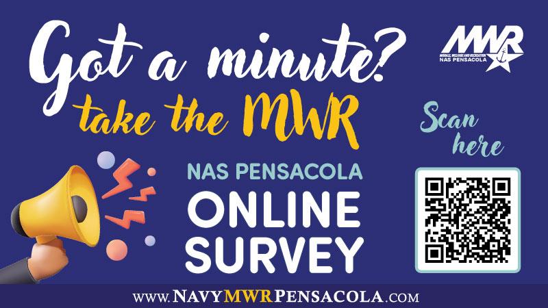 NASP-Survey.jpg