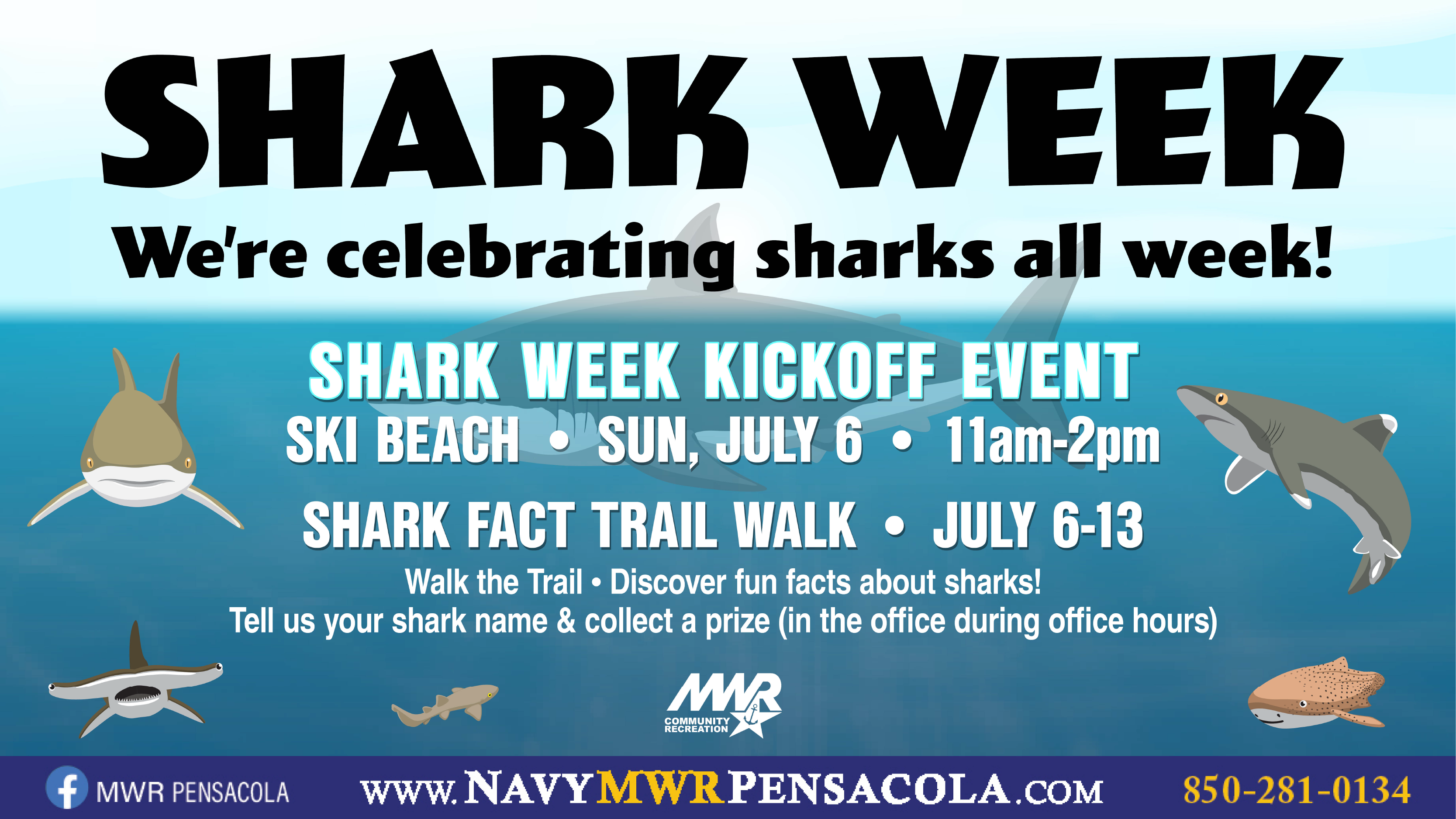 SHARK WEEK -01.png